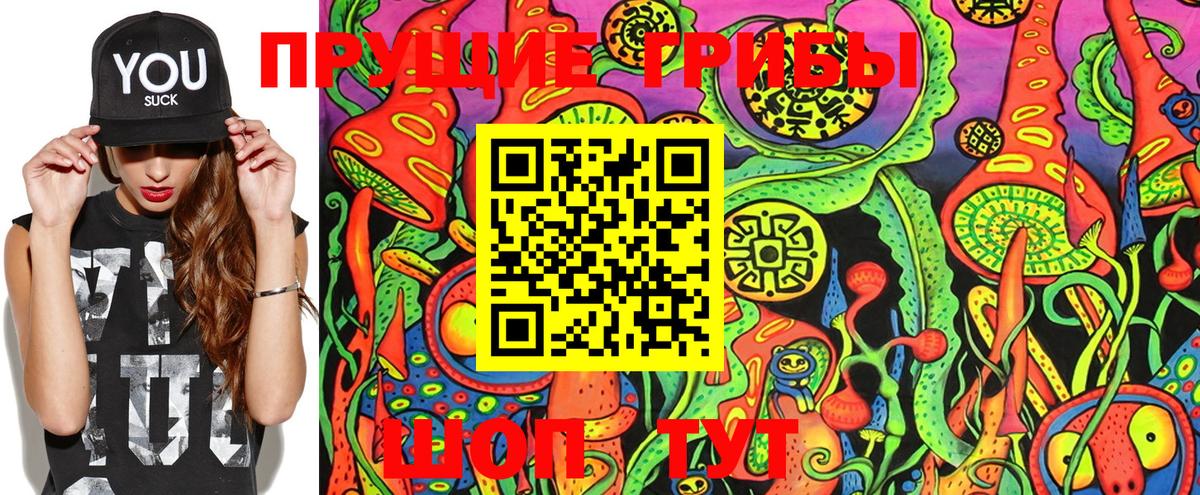 Псилоцибиновые грибы GOLDEN TEACHER Россия