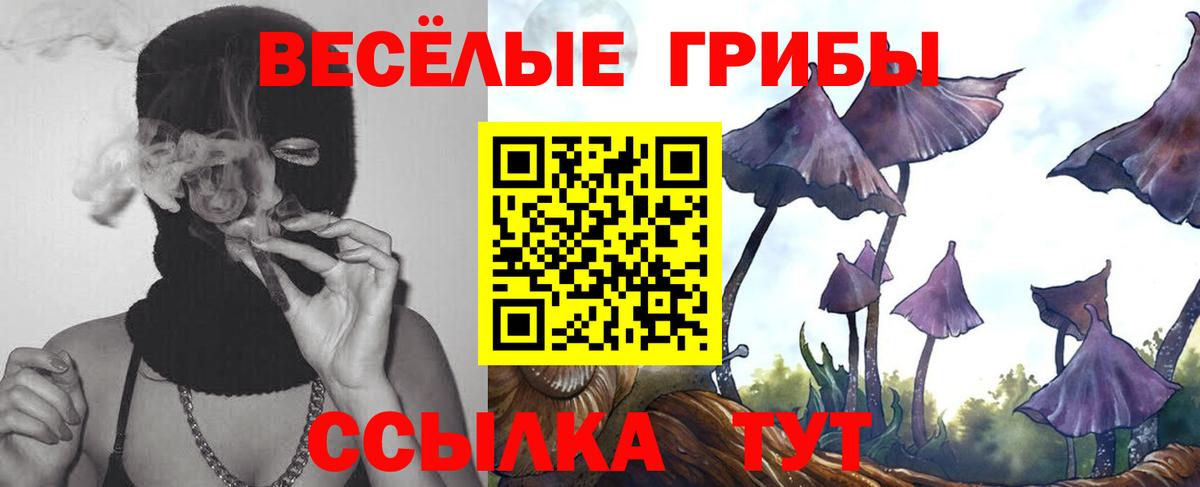 цена наркотик  Псилоцибиновые грибы Cubensis  Вход с VPN  Псилоцибиновые грибы прущие грибы  Россия 