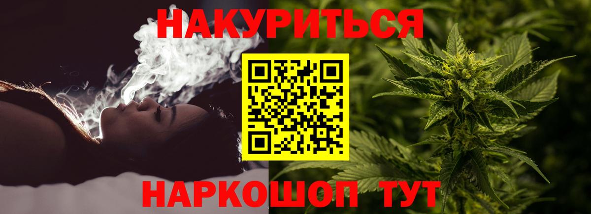 Конопля планчик Россия